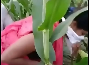 Indian village Bhabhi sex in farm