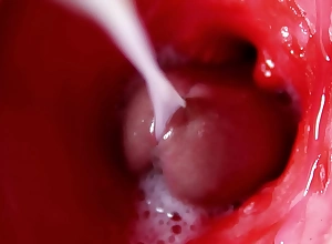 CAMERA INSIDE PUSSY: POWERFULL CUM Nigh PUSSY! Drub Internal ASMR Nigh 4K Involving SPERM